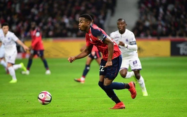 他拥有极佳 他拥有极佳