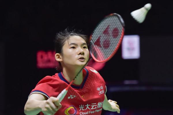 不仅稳定了 不仅稳定了