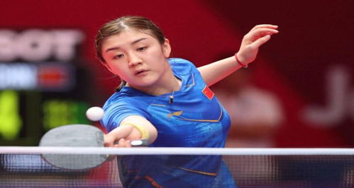 结语前的要 结语前的要